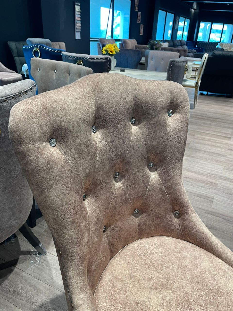 Modern Shell Dining Chair angled room view